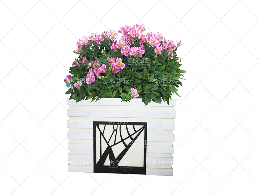 組合花箱中有哪些創(chuàng)意款式？